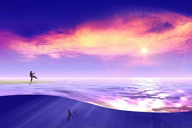 Love U Wallpapers: Seahorse Pictures