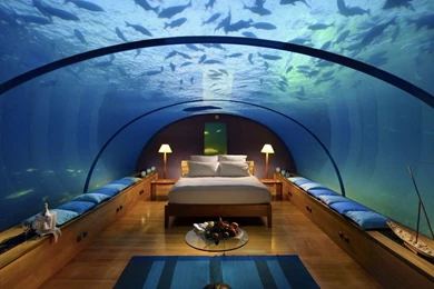 26755 Pigeons On A Rooftop 1920x1080 Photography Wallpapers ...