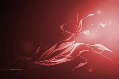 24 Red Hot Wallpapers For Your Android