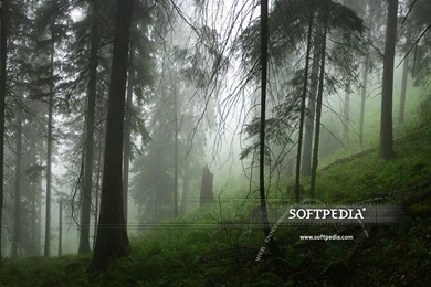 Softpedia Wallpapers Pack 7 Download