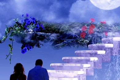 Couples Images Wallpapers To Die For 2015 Romantic Love Couples ...