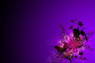 Wallpapers Insights: Wallpapers Violet