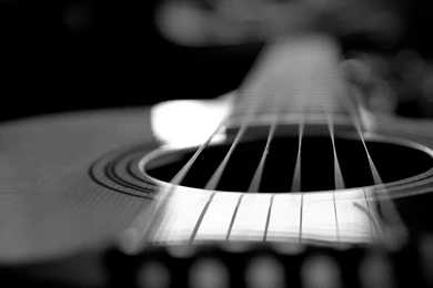 Taylor 414 RCE Acoustic Guitar Strings 4K Wallpapers