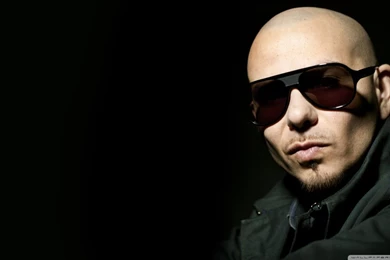 Pitbull HD Desktop Wallpapers : High Definition : Fullscreen : Mobile