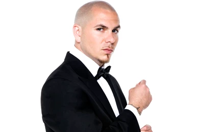 Pitbull Hd Wallpapers
