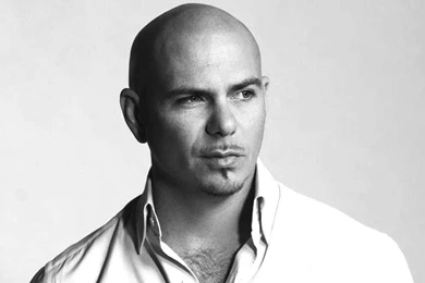 Pitbull HD Pictures