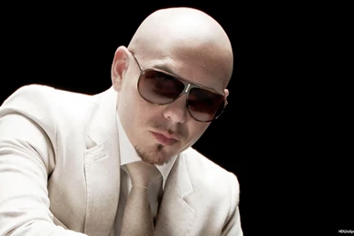 Pitbull Wild Wild Love G R L Lyric Song