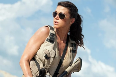 13+ Adrianne Palicki Wallpapers HD Download