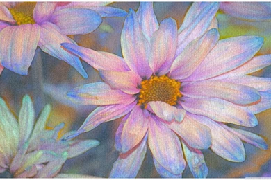 Pastel HD Desktop Wallpapers : High Definition