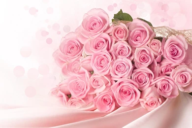 Pink Pastel Roses For Beautiful_life >> HD Wallpaper, Get It Now!