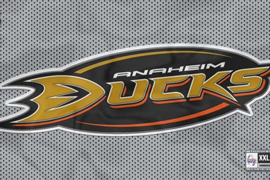 Anaheim Ducks Hd Wallpapers (2)