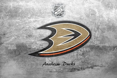NHL Anaheim Ducks Logo Gray Wallpapers HD. Free Desktop Backgrounds ...