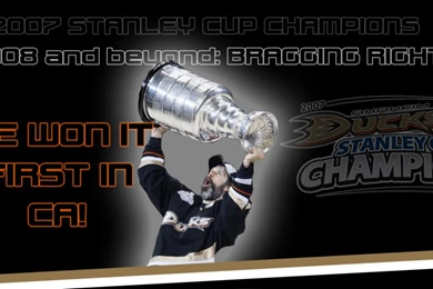 Anaheimducks   DeviantArt