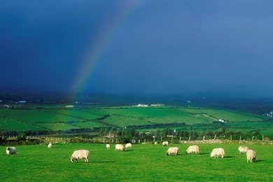 The Cottage Wytch: 3/1/13   4/1/13