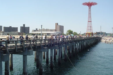 Coneyisland Related Keywords & Suggestions   Coneyisland Long Tail ...