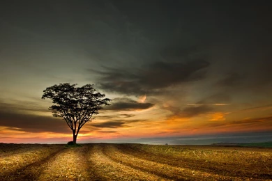 Dramatic HD Wallpapers