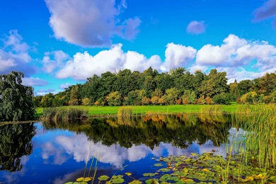 Finland Pond Wood Reeds Clouds Reflection Autumn Fall Wallpapers ...