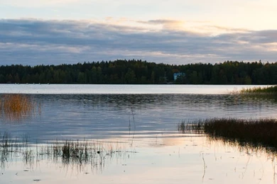 Finland iPhone 5s Wallpapers