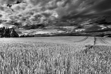 Dramatic Scene HD Desktop Wallpapers : Widescreen : Fullscreen ...