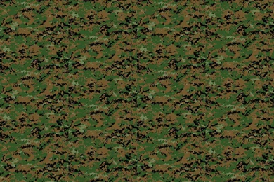 1/6th Scale MARPAT Woodland Wallpapers Ricraynor Spoonflower