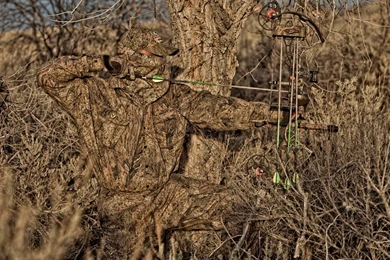 Doomsday Digest: February 2013