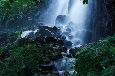 Smallest John Deere Landscaping Knoxville Tn For Popular Landscaping