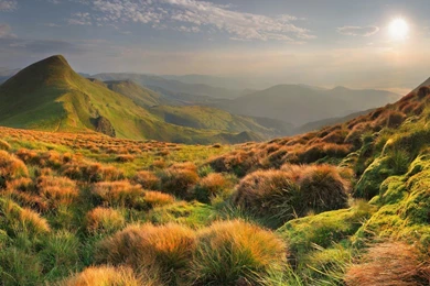 Homes For Sale In Knoxville TN: Real Estate Trends In Holston ...