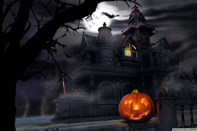 Stunning HD Wallpapers For Your Desktop