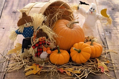 Happy Halloween, Autumn, Pumpkins, 1920x1080 HD Wallpapers And FREE ...