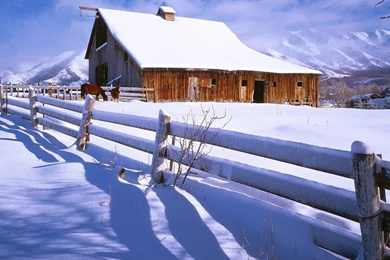 Download Snowy winter hd 49030 hd wallpapers backgrounds Free By ...