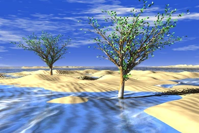 Desktop Background: Frozen Desert Trees, 1280x1024 Resolution