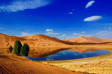 Desert HD Wallpapers