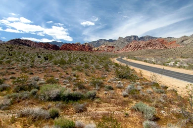 Deserts: Tree Hill Photography Sky Hot Sand Desert Sun Bright ...