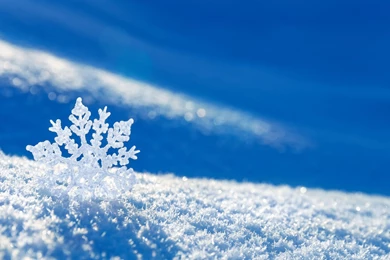 Download Wallpapers 2560x1600 Snow, Snowflake, Winter 2560x1600 HD ...