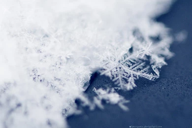 Snow, Background, Leopard, Mac, Wallpaper, Landscapes, Images ...