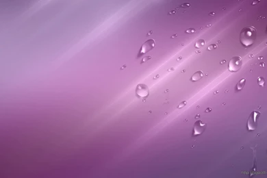 Purple Violet Backgrounds Windows Wallpapers