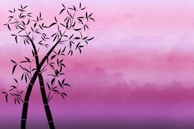 Free Bamboo Stock Background Images » Backgrounds Etc