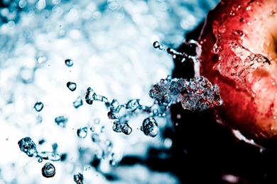 Apple Fruit Hd Wallpapers 0010