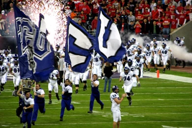 Tree Desktop Wallpapers