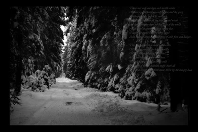 Download Wimisti Copy Wallpapers 1000x700