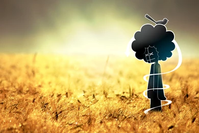 2560x1600 Afro, Contour, Bird, Man Wallpapers And Pictures 60158