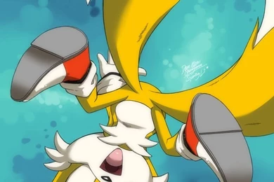 Classic Tails The Fox Prower