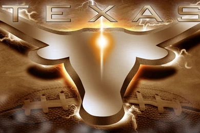 Gena Koch: Longhorn Wallpapers