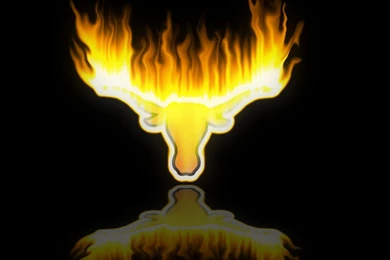 Kristen Sweet: Longhorn