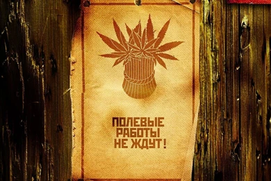 Marijuana Background Images Art