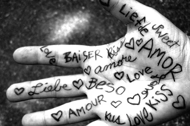 Love Rose Hd Wallpaper] Love Quotes Wallpapers