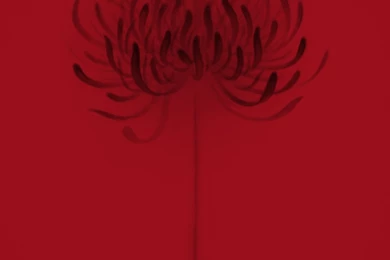 Flower Iphone Wallpapers