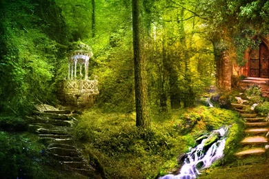 Fairy Forest Background Images