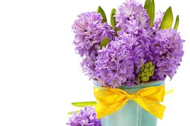 PURPLE HYACINTHS WALLPAPER   (