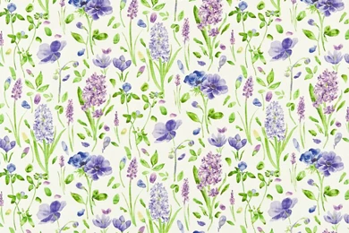 Sanderson Spring Flowers DOPS222398 Hyacinth Options 11